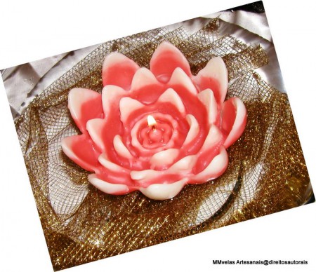 flores flutuantes